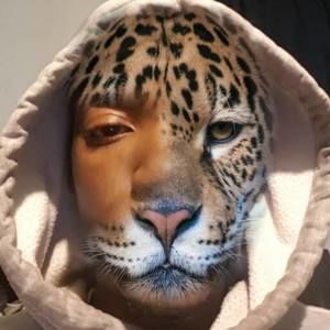 Meet your Posher, Malik